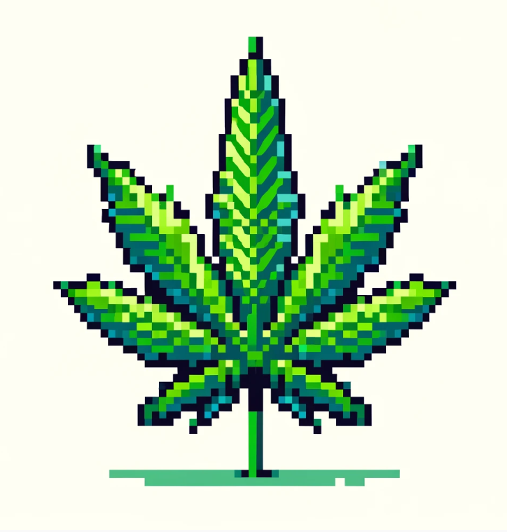 Growing Concerns Over Rising THC Levels in Cannabis