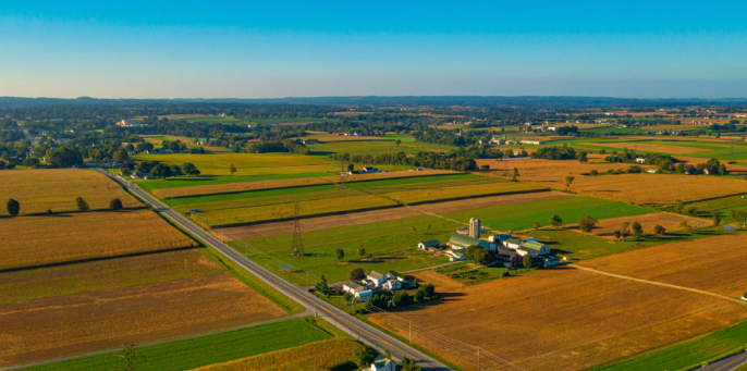 Best Public Health Tools for Local Government:
