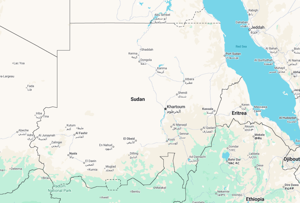The Crisis of Sudan’s Collapsed Health System