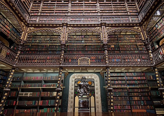 The Future of Plain Language Summaries